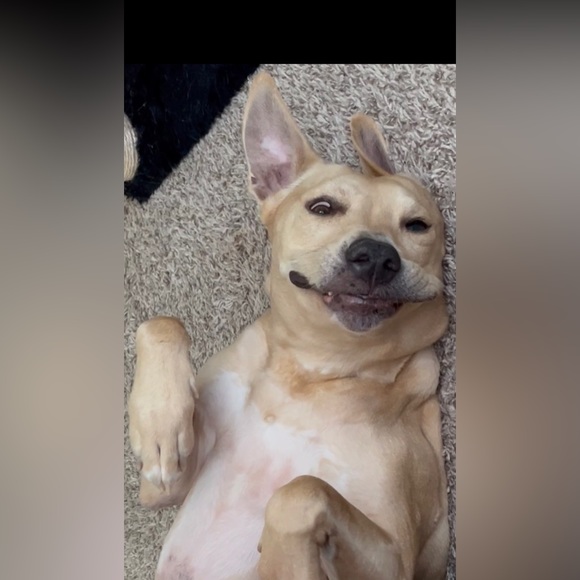 Meet your Posher, Stef๐ - Picture 7 of 11